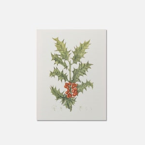 Holly Botanical Christmas Decor Printable | Vintage Winter Wall Art | Festive Green Red Illustration