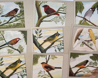 Une carte, oiseaux, NVP Sluis Birdfood, carte postale vierge vintage française, papiers éphémères originaux en papier vintage de France