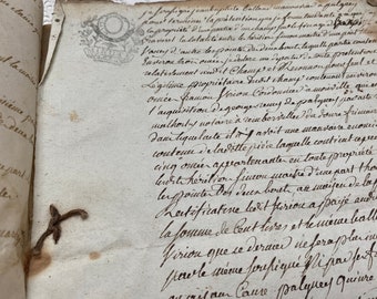 1793 documents français anciens sur vélin original, manuscrits manuscrits, Révolution, calligraphie, vieux papiers de France, histoire