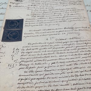Antico manoscritto francese del 1882 con timbri o timbres fiscaux, documenti originali antichi dalla Francia, documenti storici