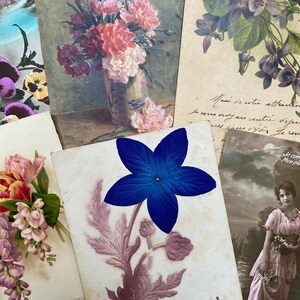 5 cartes postales vintage de fleurs, françaises, éphémères en papier de France, artisanat, scrapbooking, journaux, papier vintage