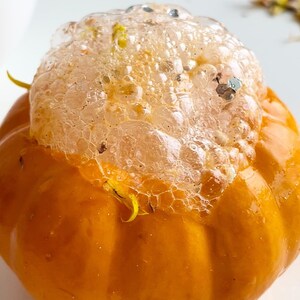 May include: A small orange pumpkin with a white foamy substance on top. The foam is bubbly and has a light brown tint.