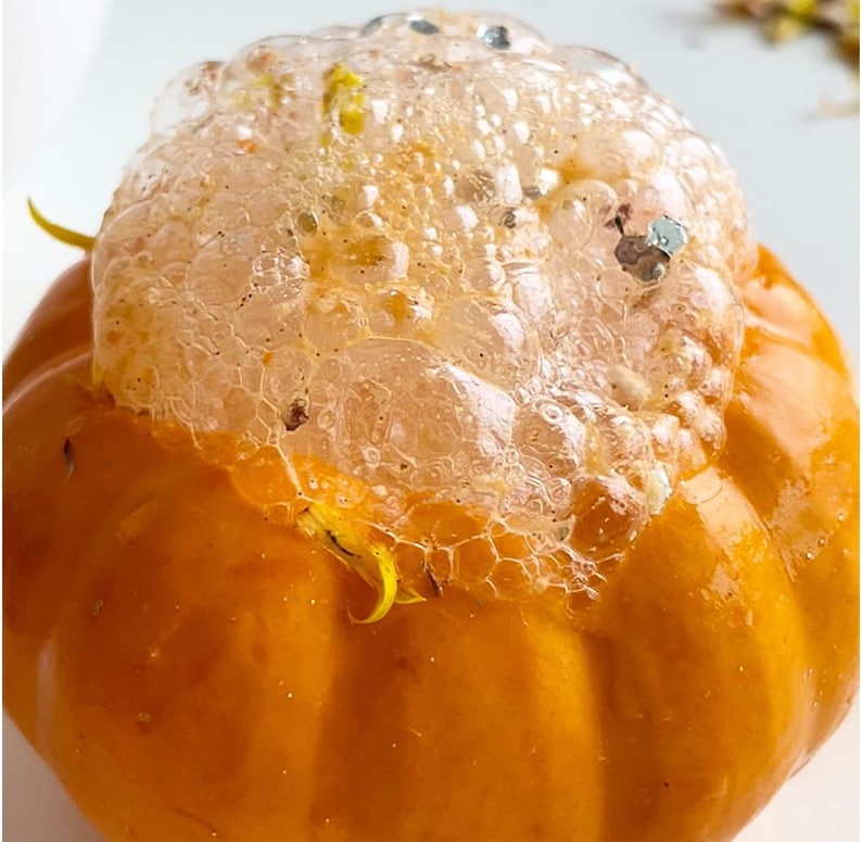 May include: A small orange pumpkin with a white foamy substance on top. The foam is bubbly and has a light brown tint.