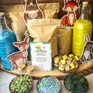 Wild Forest Potion Play Party Kit - Magical Birthdays - Jungle Birthday - Forest Birthday - Birthday Kits for Kids - Mindful Celebration
