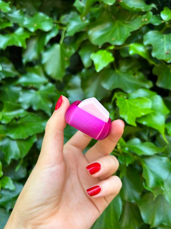 Switch Fidget - Unique Sensory Stim Tool - Made from Plant Based Bio-plastic