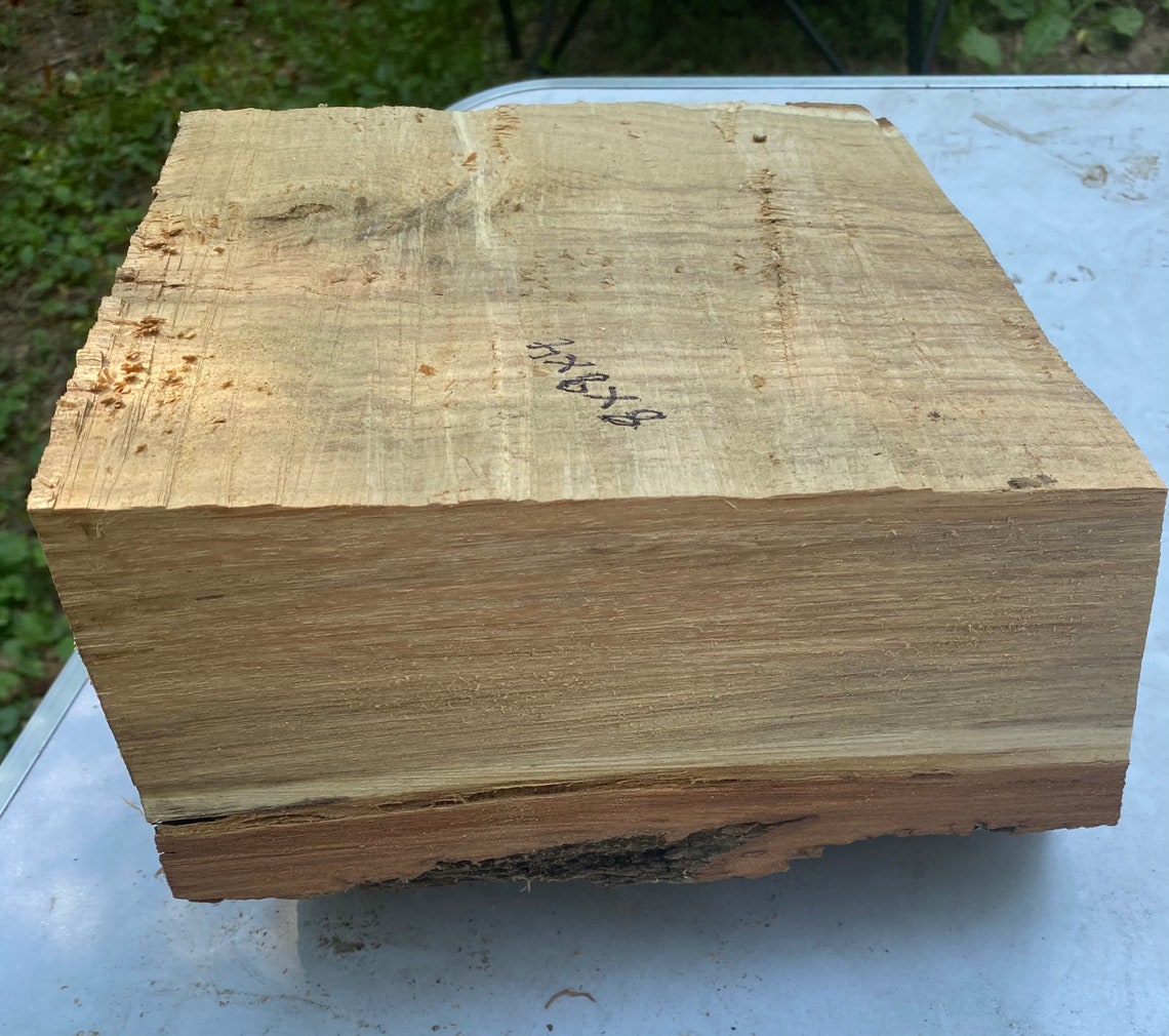 Black Locust Live Edge Bowl Blanks for Wood Turning 8x8x4 Etsy