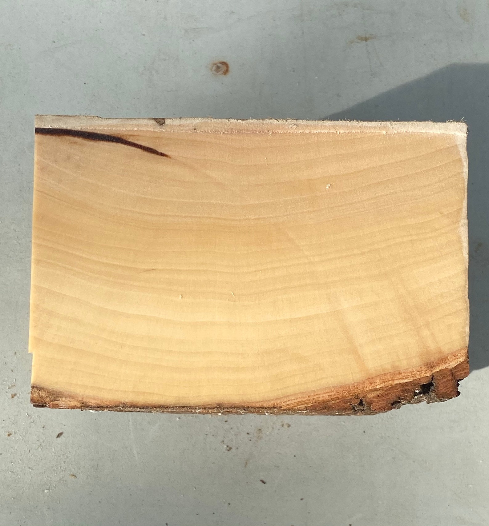 Hickory Wood Live Edge Bowl Blanks for Wood Turning 6x6x2.5 Etsy