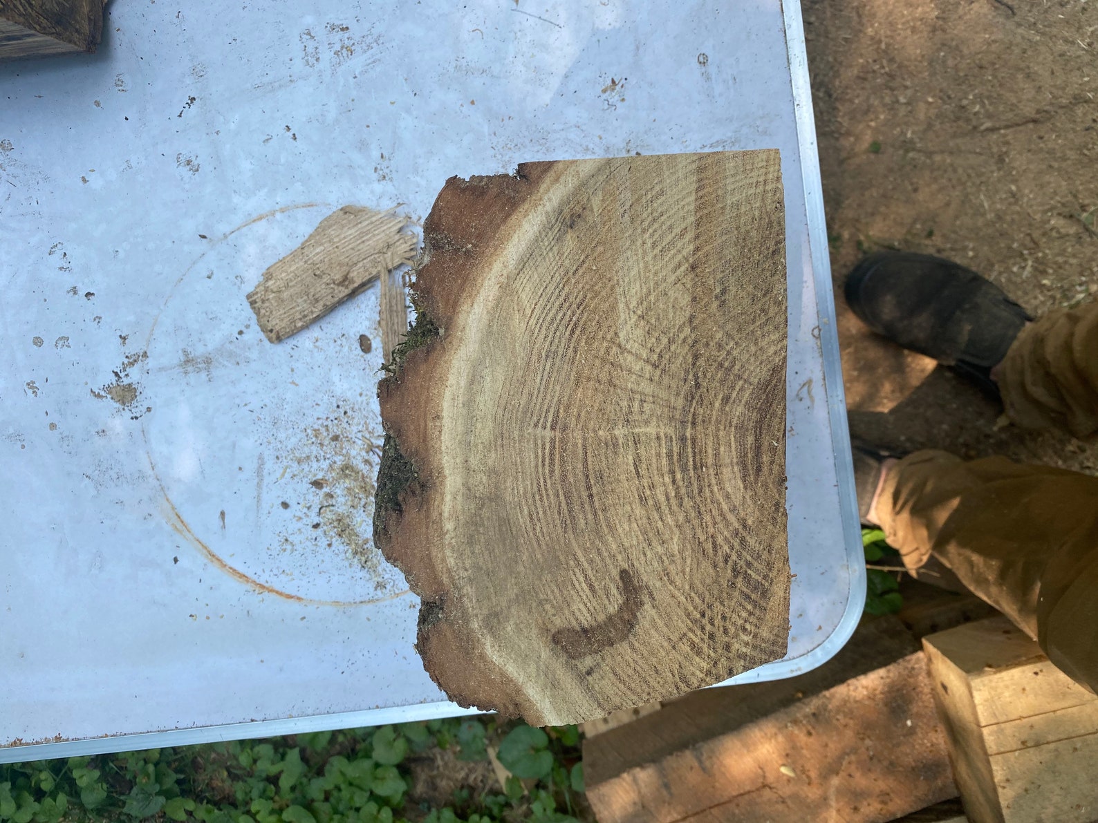 Black Locust Live Edge Bowl Blanks for Wood Turning 8x8x4 Etsy