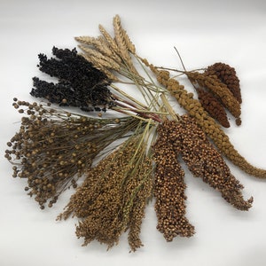 Deluxe Spray Bundle für Nager | Hergestellt in Deutschland