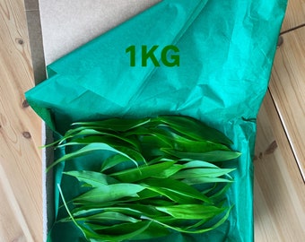 Fresh Wild Garlic Leaves - Organic - 1kg