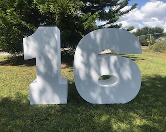 Large 3D Foam Number | Birthday Party Decor, Photo Prop