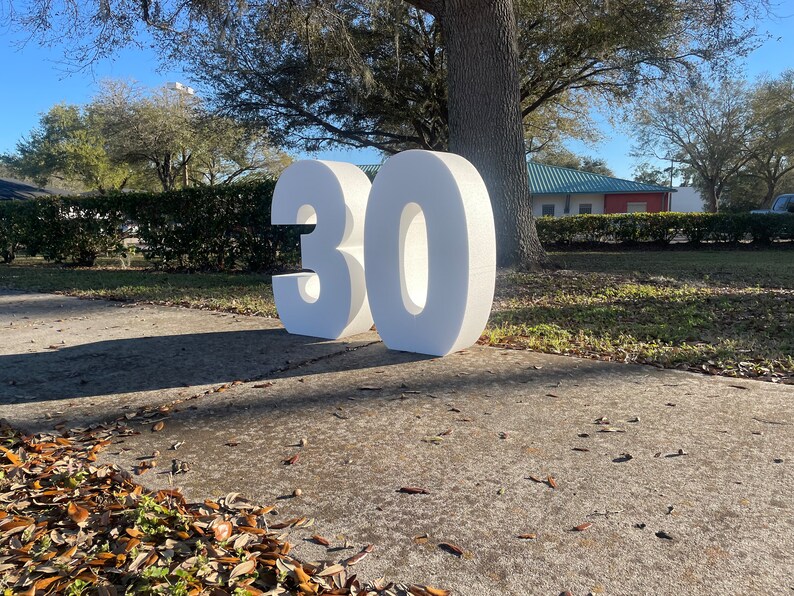 Standing Numbers Giant Standing Numbers Pick 2 | Large 3D Customizable Styrofoam Numbers ...