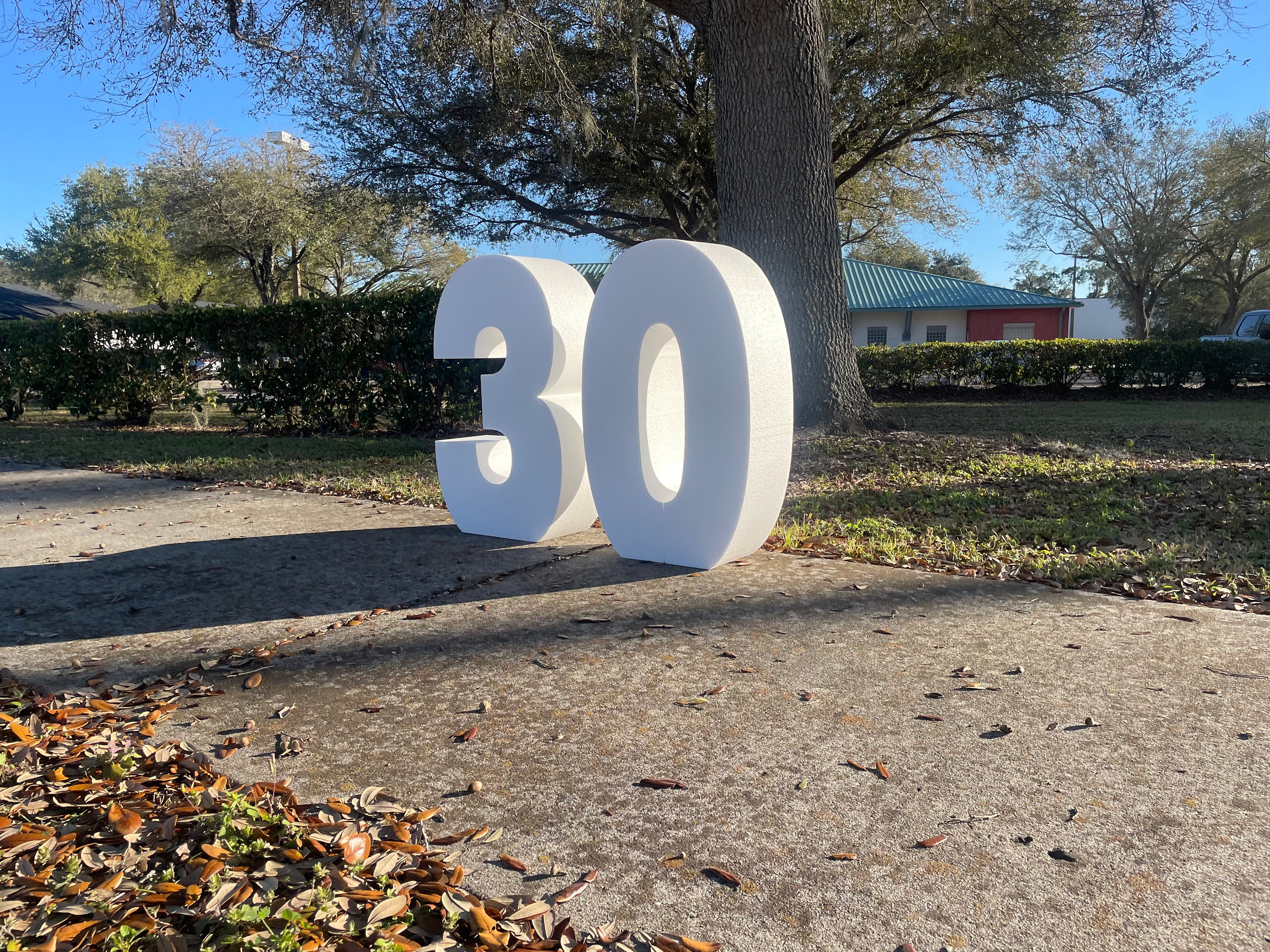 Giant Standing Numbers Pick 2 | Large 3D Customizable Styrofoam Numbers ...