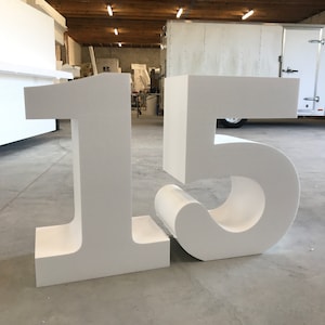 PICK ANY 2 3D Giant Styrofoam Numbers |  3D Foam Tabletop Numbers | Styrofoam 3D Characters for Birthday | Backdrop Letters