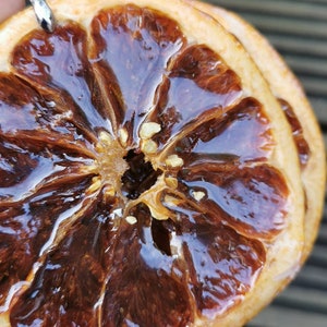 Real Fruit Earrings, Grapefruit Earrings, Funky Jewellery, Vegan, Resin Jewelry, Arty Earrings, Handmade Earrings, Dehydrated Fruit