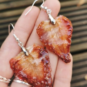 本物のフルーツのイヤリング、イチゴのイヤリング、ファンキーなジュエリー、ビーガン、樹脂ジュエリー、アートなイヤリング、手作りのイヤリング、乾燥フルーツ