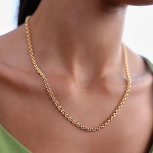 Könnte beinhalten: Eine goldene Kettenkette mit einem zarten, verlinkten Design. Die Kette wird von einer Person mit einem grünen Hemd getragen.