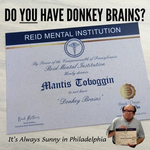 donkey brains certificate from Always sunny personalised - Do you have donkey brains? proof you do not have donkey brains!