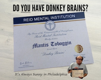 donkey brains certificate from Always sunny personalised - Do you have donkey brains? proof you do not have donkey brains!
