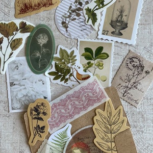 May include: A collection of botanical-themed stickers and ephemera. Includes floral illustrations, a rose, a mushroom, and a fern. There are also postage stamp designs, a strip of pink lace, and a brown envelope. The color palette is primarily neutral with touches of green and brown.