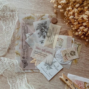 May include: A collection of vintage-style ephemera, including paper scraps, botanical illustrations, and handwritten notes. The assortment features a butterfly, a fig illustration, and the text "Bén édi ction". A lace ribbon and dried flowers are also present.