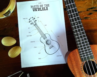 Ukulele handbook - ukulele guide for beginner players and ukulele for kids