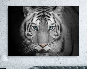 Black and White Tiger sat in grass Nature wallpaper photo wall mural 14751945 