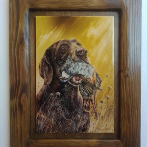 Può includere: Un cane da caccia marrone e bianco con una pernice in bocca. Il cane è in piedi in un campo di erba alta. Lo sfondo è di colore giallo dorato.