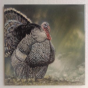 Handgeschilderde keramische tegels, 20 x 20 cm (niet ingelijst) - Wilde kalkoen