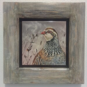 Può includere: Una piastrella incorniciata con un dipinto di una pernice rossa in un campo di erba alta. L'uccello è rivolto a destra e presenta un motivo dettagliato di piume nere e bianche. Lo sfondo è di un grigio morbido e smorzato con sfumature di rosa e viola.
