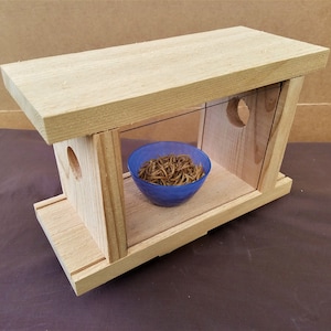 Puede incluir: Un alimentador de madera con un frente de plástico transparente y un tazón azul lleno de gusanos de harina secos. El alimentador tiene un pequeño agujero en el lateral.