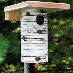 May include: A white birdhouse with a birch bark design and a round entrance hole. The birdhouse is mounted on a metal pole.
