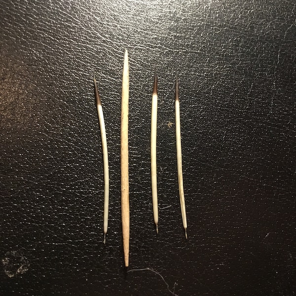Medium width porcupine quills (tooth pick in center)