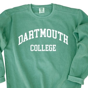 Sweat-shirt universitaire, sweat-shirt de conception personnalisée de couleurs de confort, sweat-shirt de libellé personnalisable, sweat-shirt surdimensionné, pull de collage