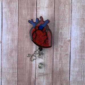 Carrete de insignia retráctil del corazón/ Titular de la identificación de anatomía/ Tarjeta clave RN brillante/ Regalo de enfermera del hospital de cardiología/ Etiqueta médica/ Insignia anatómica del corazón/
