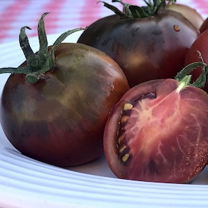 Black Prince Heirloom Tomato Organic Seeds, 100+ seeds-PRICE DROP 20%--free shipping