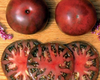 Black From Tula--Dark Purple Tomato Seeds 100+ seeds