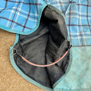 May include: A light blue horse blanket featuring a dark blue and white plaid pattern. The interior is lined with black fabric and includes a curved, orange and black elastic leg strap attached to a metal D-ring on the reinforced teal trim.