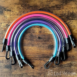 May include: A set of eight colorful bungee cords with black clips. The cords are arranged in a rainbow pattern, with the colors orange, pink, purple, blue, turquoise, and green. The cords are made of a clear, stretchy material.
