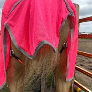May include: A bright neon pink horse fly sheet featuring a textured mesh fabric with grey trim along the edges. The sheet is secured with metal D-rings and orange elastic leg straps, covering the back and hindquarters of a light brown horse.