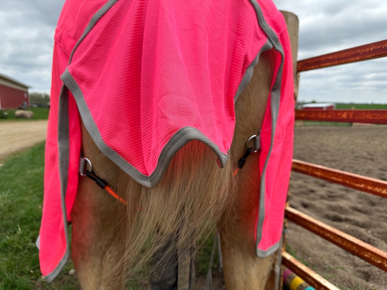 May include: A bright neon pink horse fly sheet featuring a textured mesh fabric with grey trim along the edges. The sheet is secured with metal D-rings and orange elastic leg straps, covering the back and hindquarters of a light brown horse.