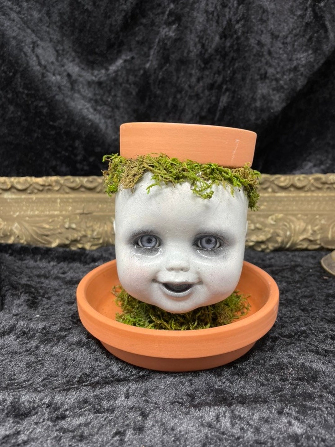 Baby Doll Creepy Plant Pot Head Etsy