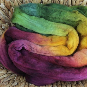 New: Hand-dyed tops Falkland -Silk Road-