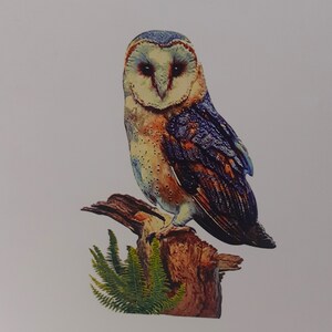 customizable 3D owl pop-up card image 5