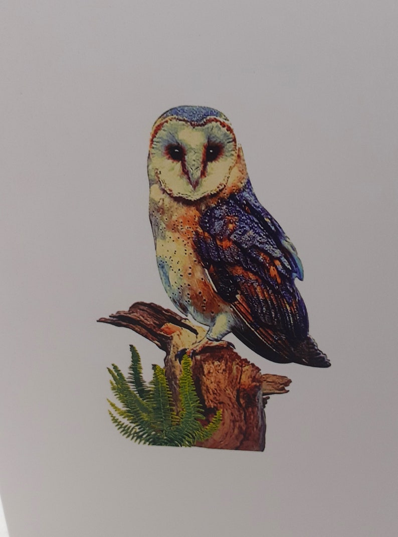 customizable 3D owl pop-up card image 5