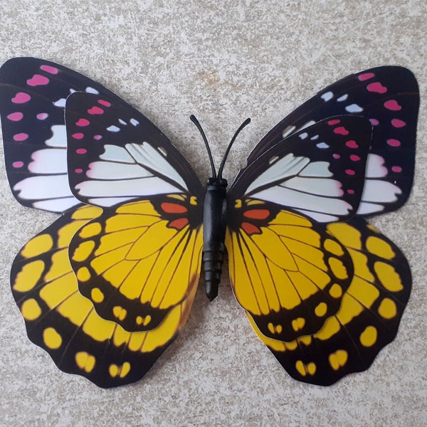 magnet du papillon en plastique renforcé