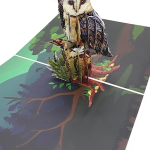 3D pop up card of the owl