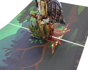 3D pop-up kaart van de uil