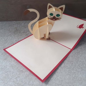 carte pop up du chat blanc