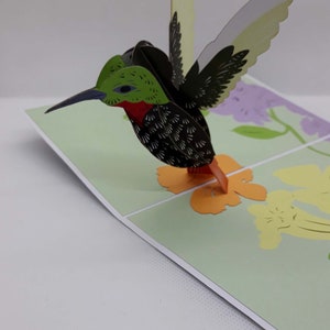 carte pop up du colibri